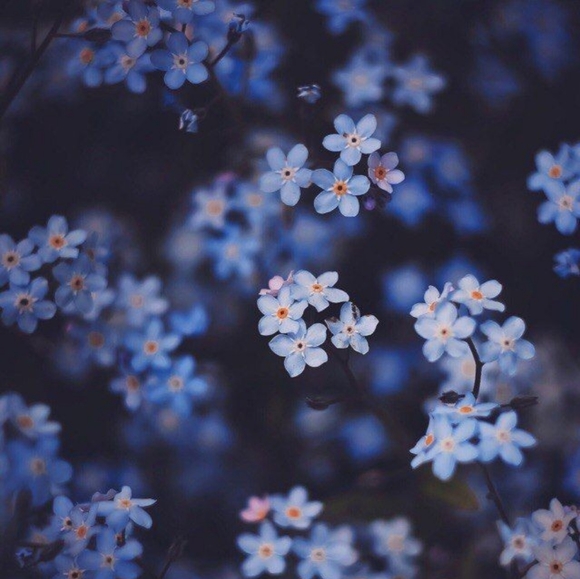 2025 Update - Picture 1 of 1